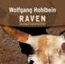 Wolfgang Hohlbein: Raven - Schattenreiter. CD