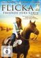 Flicka 2