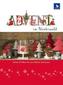 Advent im Winterwald