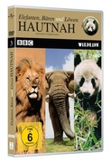 BBC Wildlife: Hautnah 03 - Elefanten, Bären und Löwen