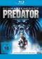 Predator
