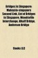 Bridges in Singapore: Malaysia-Singapore Second Link, List of Bridges in Singapore, Woodsville Interchange, Alkaff Bridge, Anderson Bridge