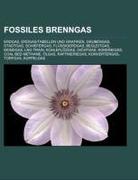 Fossiles Brenngas