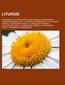Liturgie
