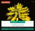 Genießer Lounge-Safari Lounge