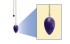 Pendel Amethyst