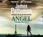 Maximum Ride: Angel
