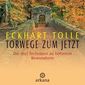 Torwege zum Jetzt - Die drei Techniken zu höherem Bewusstsein