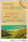 Sterne über Tauranga