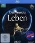 Life - Das Wunder Leben. Volume 1