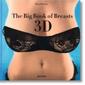 Big Book of Breasts in 3-D