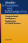 Computational Intelligence: Engineering of Hybrid Systems
