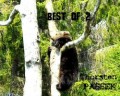 BEST OF 2