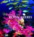 Zauber des Roten Meeres