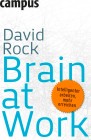 [David Rock: Brain at Work]