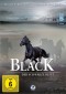 Black, der schwarze Blitz - Box 5