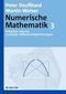 Numerische Mathematik 3. Adaptive Lösung partieller Differentialgleichungen