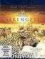 Serengeti - Circle of Life