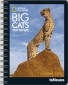 National Geographic Calendar Big Cats 2012 Buchkalender