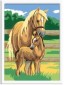 Ravensburger 28162 - Pferdesehnsucht, MNZ, Malen nach Zahlen