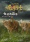 Warriors: Firestar's Quest