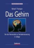 Das Gehirn