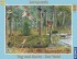 Lernpuzzle - Tag und Nacht - Der Wald