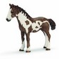 Schleich 13695 - Farm Life: Pinto Jährling