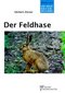 Der Feldhase