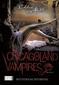 Chicagoland Vampires 03. Mitternachtsbisse