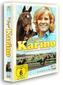 Der Hengst Karino