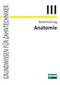 Anatomie: Spezielle Biologie des Kausystems