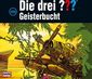 Die drei ??? 150. Geisterbucht (Fragezeichen)
