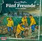 Fünf Freunde 094 und die Sturmflut