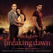 Breaking Dawn-Part1-Twilight Saga