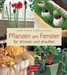 Pflanzen am Fenster