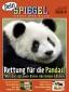 11/2011 Dein SPIEGEL: Rettung für die Pandas!