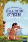 Der geheimnisvolle Drachenstein