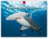 Tauchparadiese 2013. Kalender
