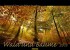Wald und Bäume 2013