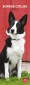 Border Collies 2013 Slimline Calendar