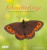 Schmetterlinge 2013