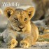 Wildlife 2013. Trends & Classics Kalender