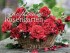 Im duftenden Rosengarten 2013 / Rosen Gardens 2013 / Roseraies 2013