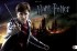 Harry Potter und die Heiligtümer des Todes Broschur XL 2013