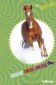 Pferde / Horses School Diary 2013