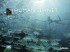 BBC Human Planet Planet Calendar 2013