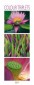 Colour Triplets 2013. Photoart Vertical