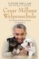 Cesar Millans Welpenschule