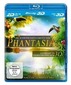 The Swimming Gardens of Phantasia 3D